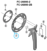 Shimano Kettenblatt CUES FC-U6000-2 46 Zähne BN 